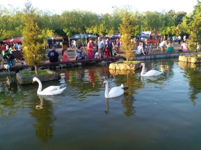 Tineretului parc, Oraselul Copiilor, 3 min. metrou